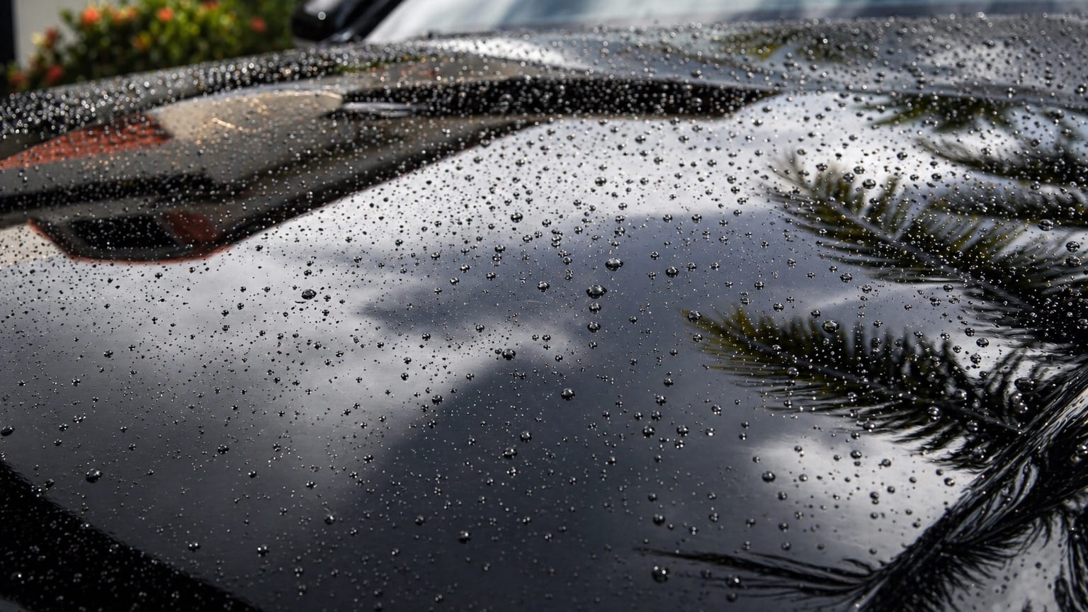 Glossy detailed paint with water beading preview